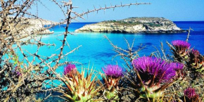 Lampedusa rosamarina, Lampedusa e Linosa